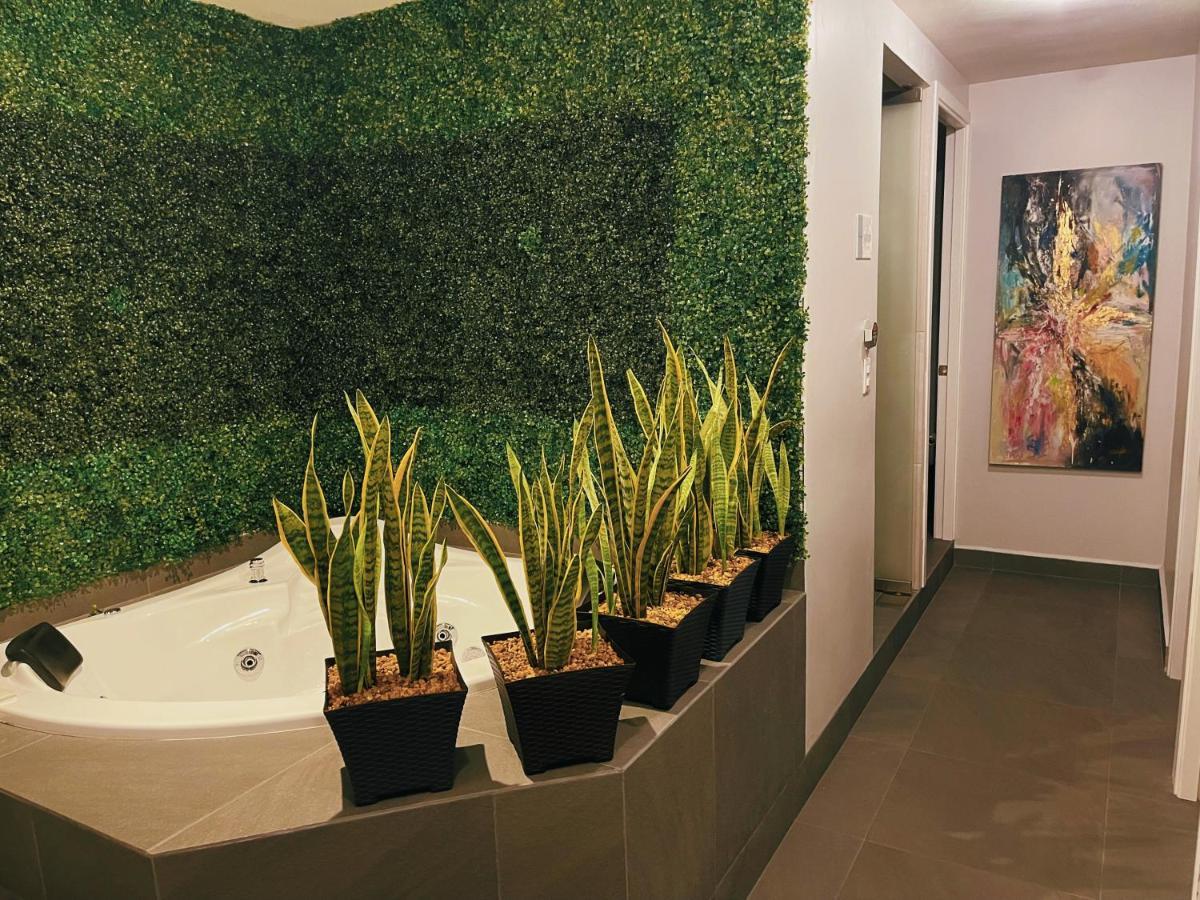 Suites Layfer, Córdoba, Veracruz, México Esterno foto